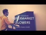 Ed Sheeran – Supermarket Flowers (Piano Cover + Sheets) [Kim Bo]