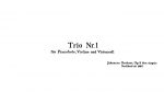 Brahms – Piano trio, Op. 8 n°1 – 1st mvt – 1854 <span class="titlered">[lecahierdupianiste]</span>