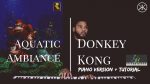Donkey Kong Country – Aquatic Ambiance – Piano Cover + Tutorial [Karim Kamar]
