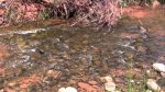 HIDDEN SWIM HOLES IN MOAB, UTAH <span class="titlered">[Piano Around the World]</span>