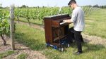 Piano Improvisation no 4- Long Island Vineyard <span class="titlered">[Piano Around the World]</span>