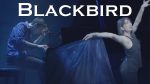 Blackbird (The Beatles) Piano/Dance Duet ft. Selena Moshell | Jonny May [Jonny May]