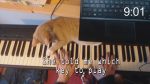 Composing a Piano Piece in 10min with My Cat [Akmigone]