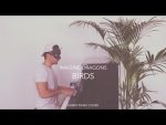Imagine Dragons ft. Elisa – Birds (Piano Cover + Sheets) [Kim Bo]