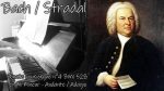 Bach/Stradal – Organ Sonata n°4 (in E-moll) BWV 528 – Andante (Adagio) [Pascal Mencarelli]