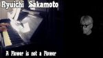 Ryuichi Sakamoto – A Flower is not a Flower – Piano Cover [Pascal Mencarelli]
