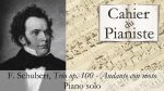 F. Schubert, Trio op. 100 – Andante con moto – Piano Solo (Arrangement simplifié) [lecahierdupianiste]