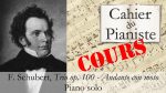 [Cours] F. Schubert – Trio op. 100 – Andante con moto [lecahierdupianiste]