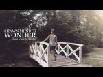 Shawn Mendes – Wonder (piano cover + sheets) [Kim Bo]