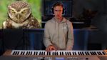 Playing Piano to Animal Pictures (I found on Google) [Akmigone]