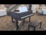 Four Hand Piano Concert August 22,2021 [Richard Kittelstad]