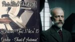 Tchaïkovski – Les Saisons Op 37 bis n°10 – Octobre – « Chant d’Automne » – Piano [Pascal Mencarelli]