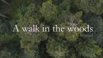 Sibmol – A walk in the woods [lecahierdupianiste]